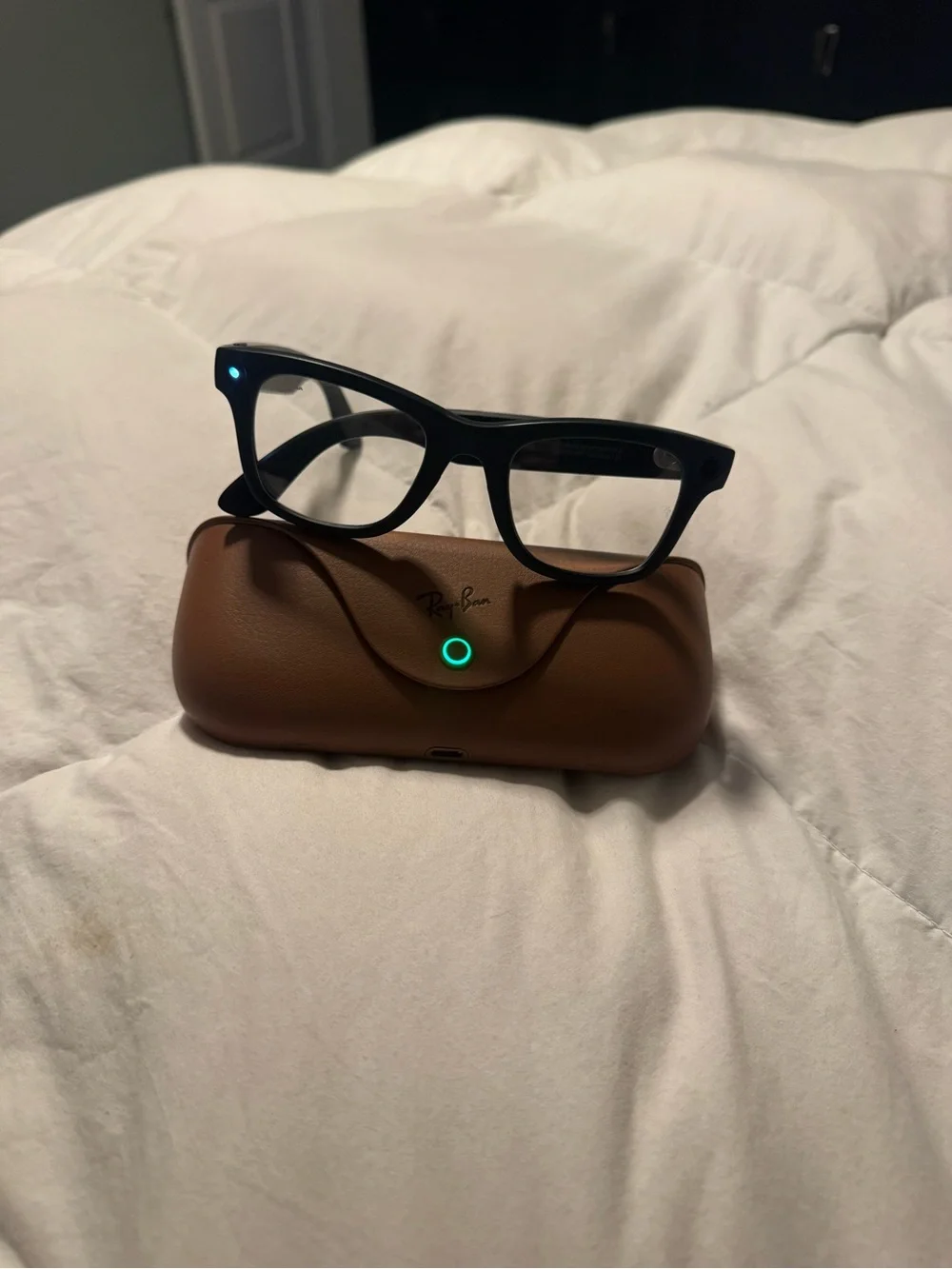 Ray-Ban Black Frames with Brown Case